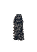 Vietnamese Raw Burmese Curly